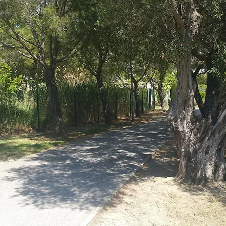 Apartment Domaine Flore