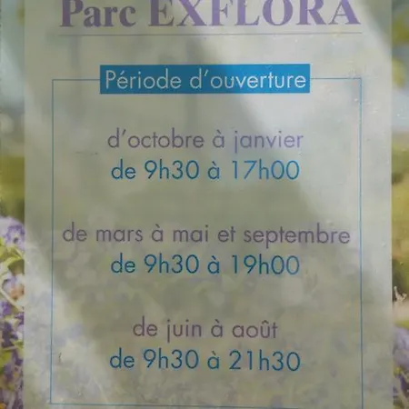 아파트 Domaine Flore Dauphin 주앙레핑