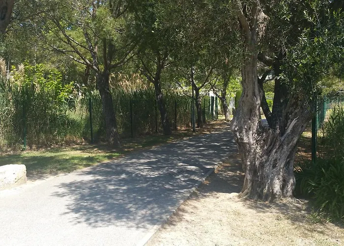 Appartement Domaine Flore Dauphin