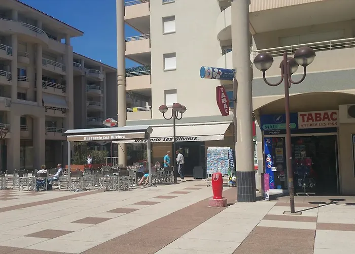 Domaine Flore Dauphin Appartement *